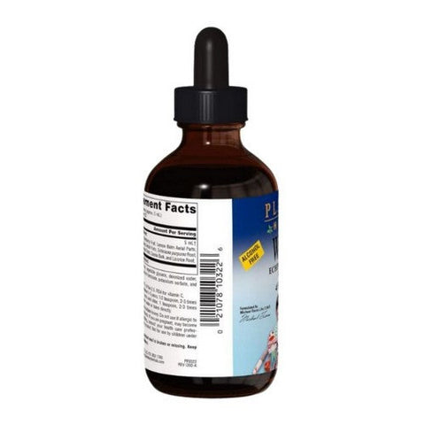 Planetary Herbals, Well Child Echinacea-Elderberry Syrup, 4 Fl Oz Planetary Herbals