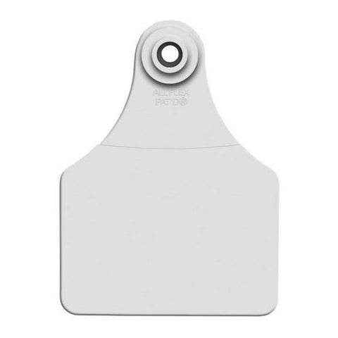 Allflex, Allflex Global Large Blank Tags White 25's, 1 Count Allflex